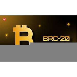 BRC-20是新星还是流星？(br.20