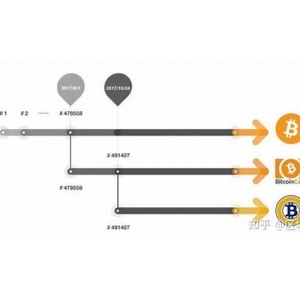 <strong>BSV币的应用场景及未来发展预测(bsv</strong>