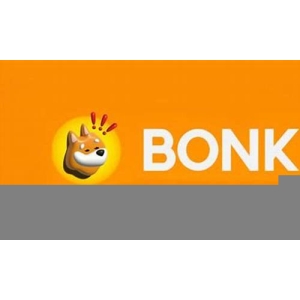 BONK币有潜力吗？一文讲解BONK币未