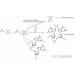 铂链(BTO)是什么币？BTO币价格最新