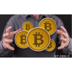 比特币Meme币爆火！BITCOIN币市