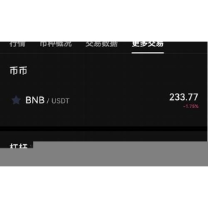 BNB币今日最新价格_05月17日币安币