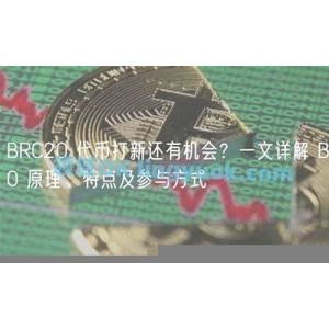 <strong>一文详解BRC20协议是什么意思？(bc</strong>