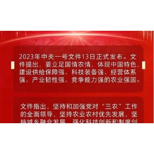 <strong>一文速览2024 ETH北京黑客松入围项</strong>