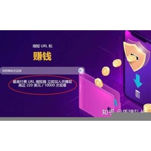 CORE美金官方网址下载(美金申报网站)