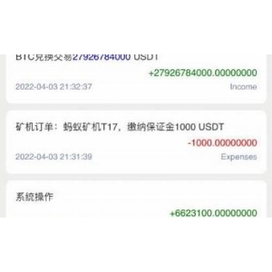 如何申请usdt钱包(usdt 电子钱包